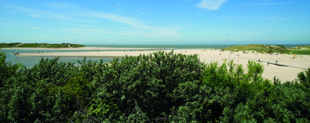 Cover Zwinhoeve