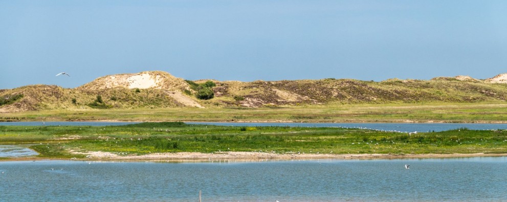 Het Zwin